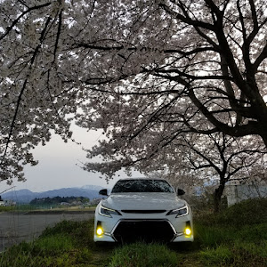 マークX G's