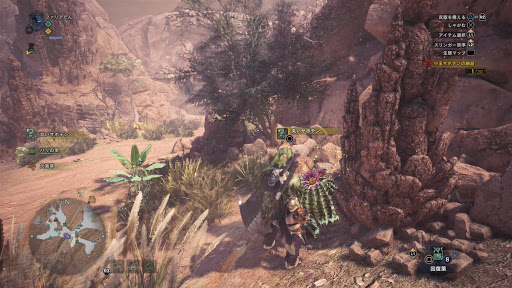 モンハンワールド 小玉サボテンの入手方法と効率的な集め方 Mhw モンハンワールド Mhw 攻略wiki