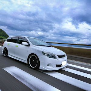カローラフィールダー NZE141G