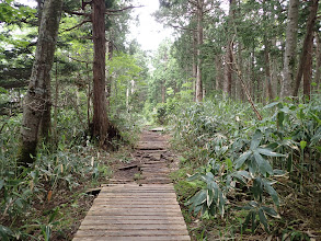 山頂は近くに