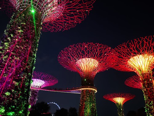 Malasia y Singapur en 12 días. Septiembre 2019 - Blogs de Asia Sudeste - Un día en Gardens by the Bay (33)