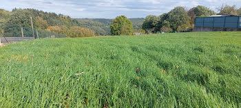 terrain à Hommert (57)