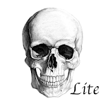 MorbidMeter Lite Apk