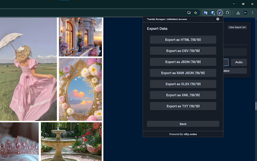 Tumblr Scraper: Export Posts, Communities, Likes & more Preview 5