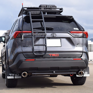 RAV4 MXAA54