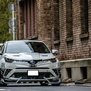 C-HR ZYX10