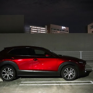 CX-30 DMEP