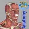 3D Anatomy icon