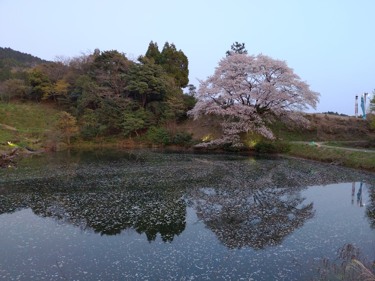 の投稿画像2枚目