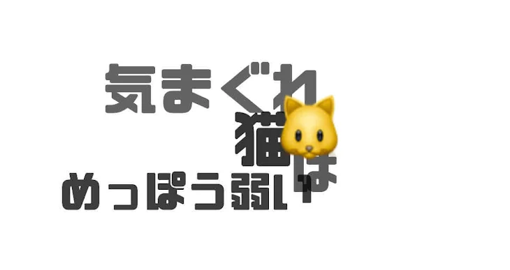 「気まぐれ猫はめっぽう弱い」のメインビジュアル