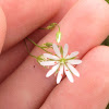 Lesser Stitchwort