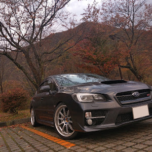 WRX S4 VAG