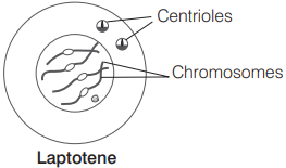 Solution Image