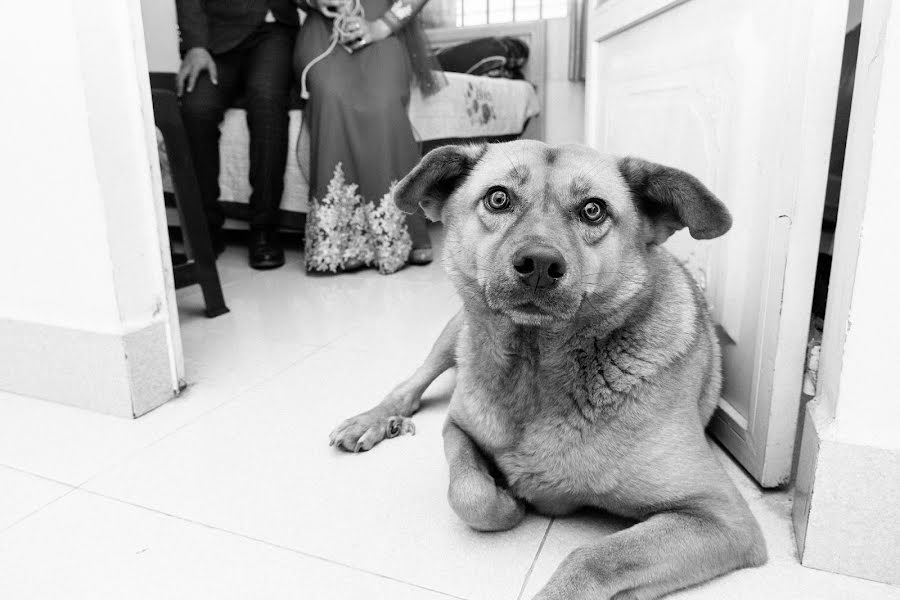 Fotógrafo de casamento A Lam (alam). Foto de 18 de janeiro 2021