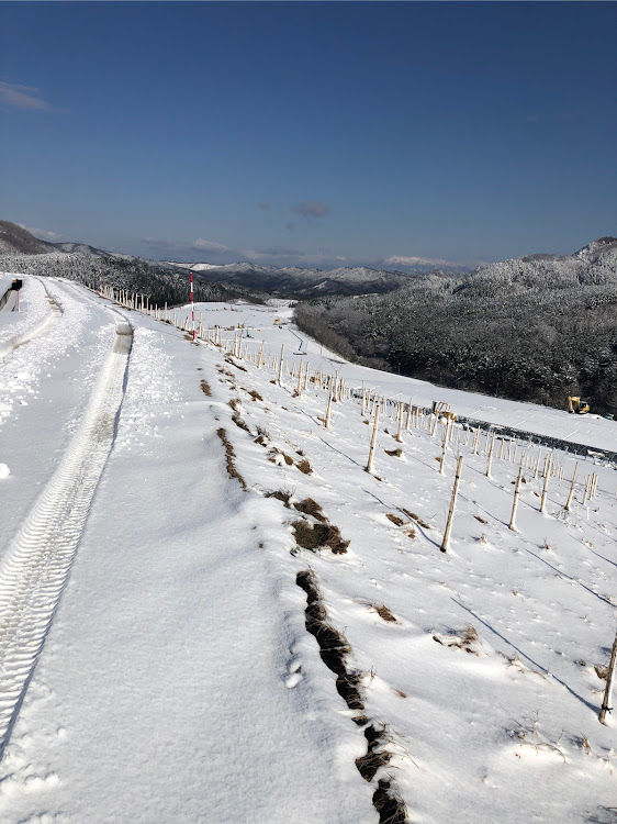 ハイラックスサーフの雪・山の上・スノー・M/Tタイヤに関するカスタム事例の投稿画像2枚目