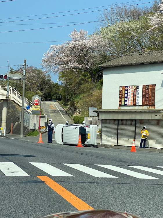 の投稿画像11枚目