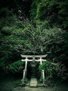 呪いの神社