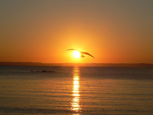 Volando verso il sole di kadanax