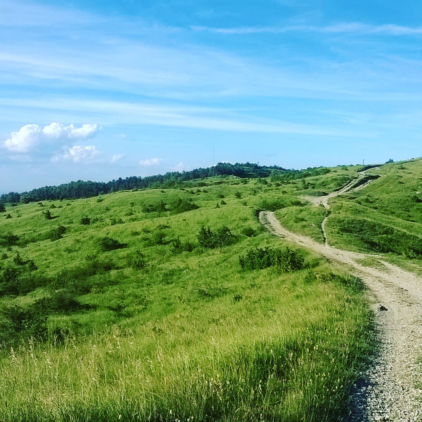 Strade ed escursioni di SaraM