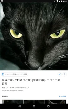 黒いネコ