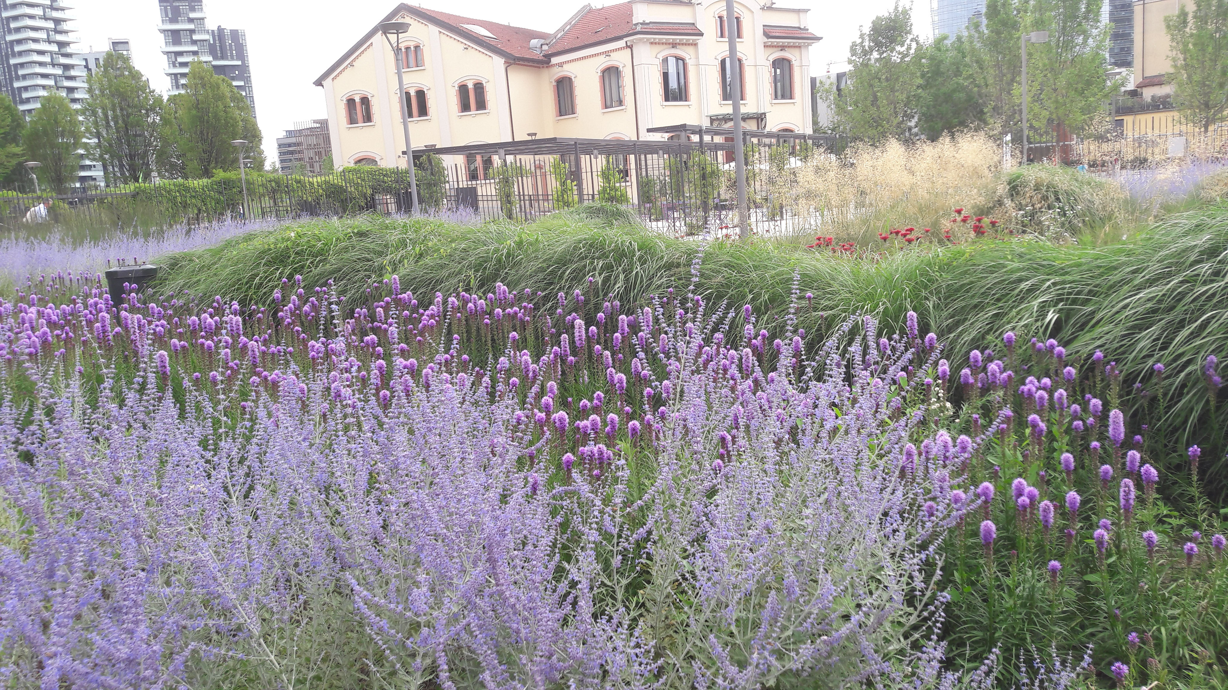 Parco Biblioteca degli Alberi  di archiviobesozzi