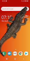 Crocodile in Phone Big Joke Screenshot