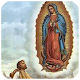 Download Novena a la Virgen de Guadalupe 6 de Diciembre For PC Windows and Mac 1.1