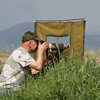 Caccia fotografica di 