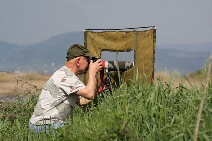 Caccia fotografica di panton