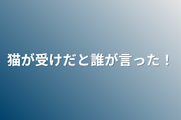 猫が受けだと誰が言った！