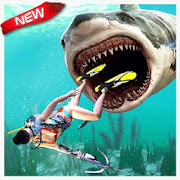 Shark Attack 2019 : Shark Games  Icon