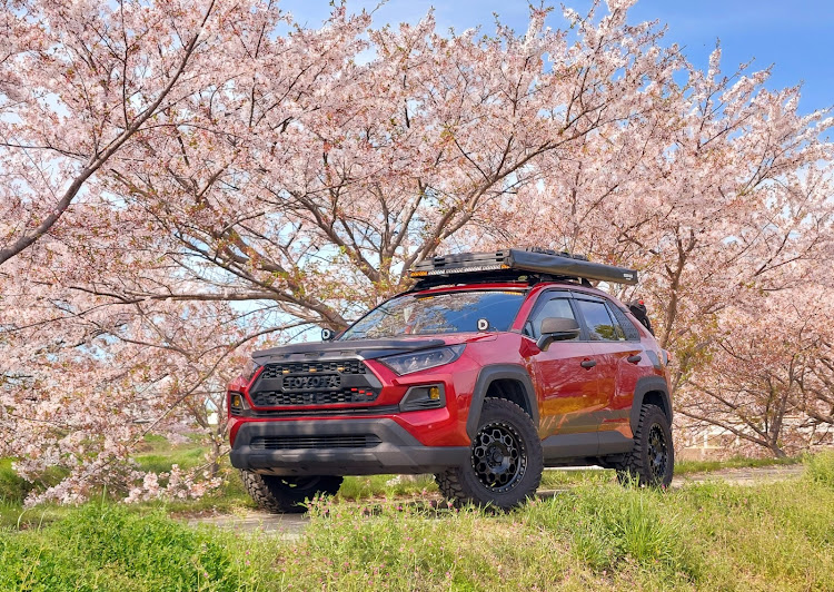 RAV4のサクラと愛車・SAKURAV4・桜コラボ・Non-chill.fam・RAV4_mt_in_shigaに関するカスタム事例の投稿画像1枚目