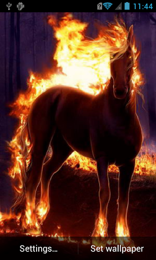 Fiery horse Live Wallpaper