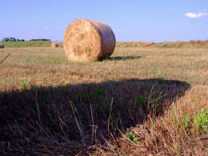 Il Lato oscuro della rotoballa di ciubecca