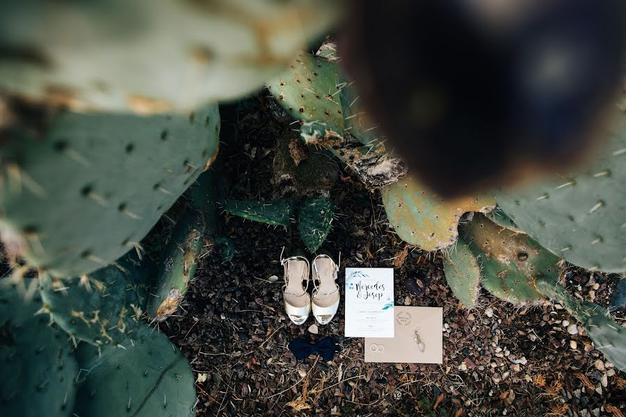 Fotografo di matrimoni Vera Fleisner (soifer). Foto del 10 febbraio 2018