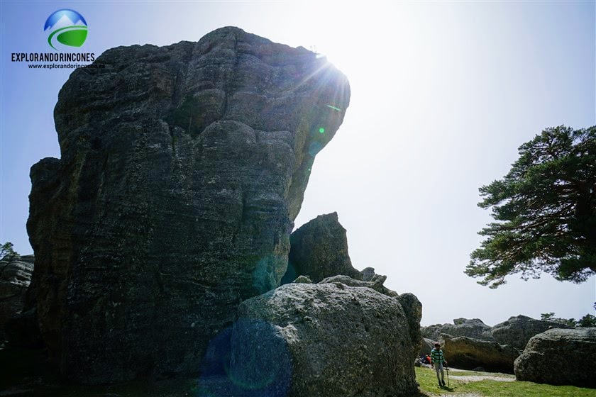 CASTROVIEJO Y CUEVA SERENA EN FAMILIA DURUELO DE LA SIERRA