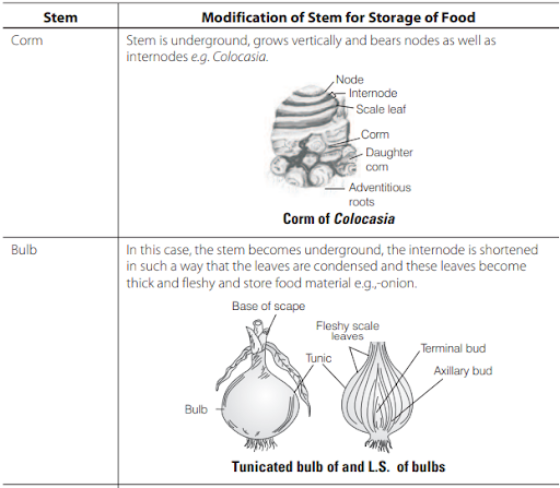 Solution Image