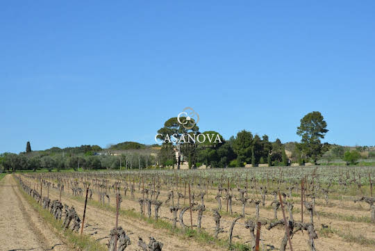 Vignoble avec piscine