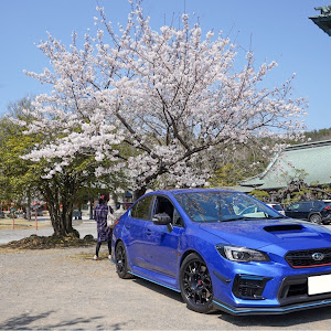 WRX STI