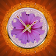 Aroma Flower Clock LWP icon