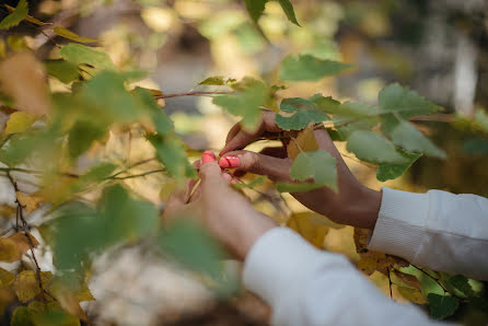 Wedding photographer Vladimir Vershinin (fatlens). Photo of 28 October 2015