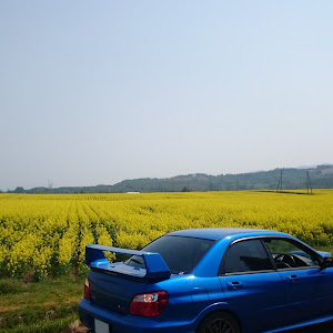 インプレッサ WRX STI GDB