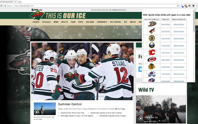 NHL Quick Links chrome extension