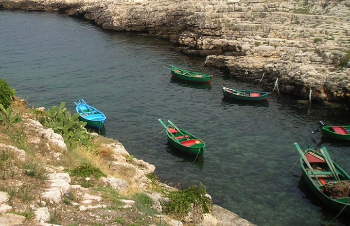 L'approdo di bonzino