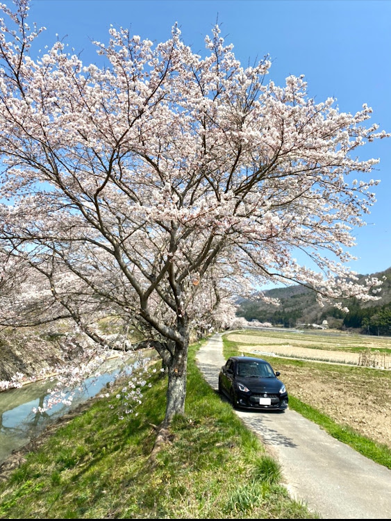 の投稿画像1枚目