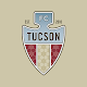 FC Tucson Install on Windows