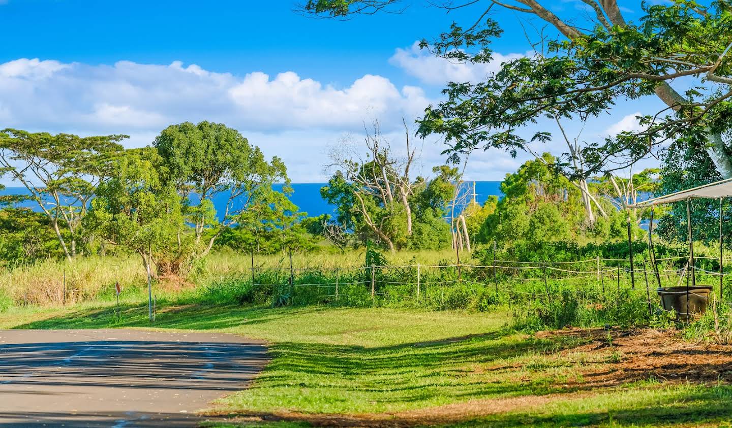 Terrain Kapaʻa