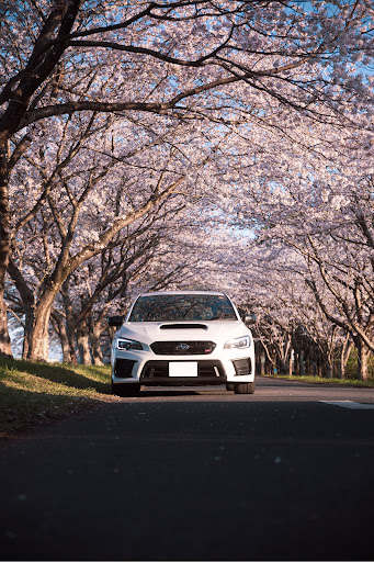 Wrx Sti Vabのwrx Sti 車写活 桜とコラボ サクラと愛車 縦構図はいいぞぉ に関するカスタム メンテナンスの投稿画像 車 のカスタム情報はcartune