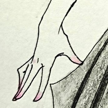 れんこん