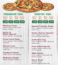 Michigan Pizza menu 4